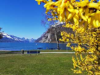 montagne, soleil