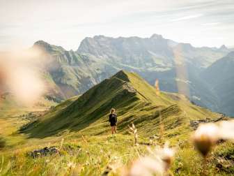 montagne, été à la montagne, Älplibahn Malans, Bündner Herrschaft, circuit Vilan, vue, Malans