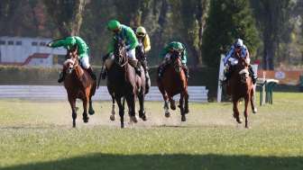 Courses hippiques 2