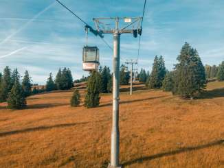 enfants, se promener, automne doré, plaisir, expérience