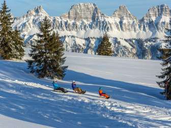 Prodalp, luge, amis, descente en luge, descente