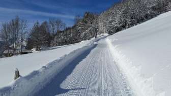 Piste de luge Schrina