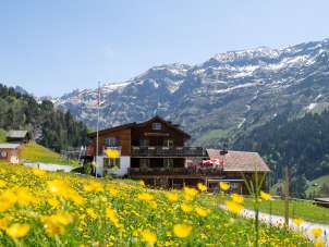 Auberge de montagne Edelwyss
