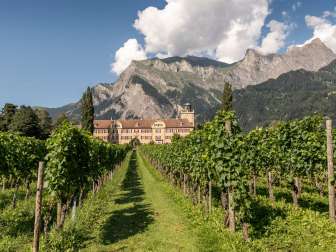 Château de Salenegg