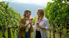 Fläsch, dégustation de vin en sac à dos, Bündner Herrschaft, Maienfeld, boire du vin, sac à dos pique-nique, dégustation de vin, automne