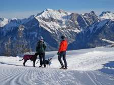 Pizol, neige, sol de course, chien, randonnée hivernale, groupe de cors des Alpes Pardiel