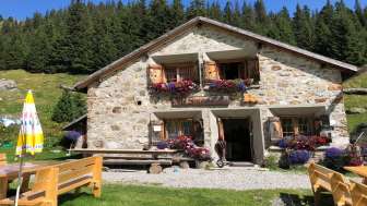Alpage de Sardona