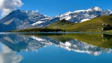 Expériences à la montagne en été, vallée de Calfeis, animaux