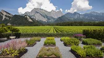 Domaine viticole Davaz