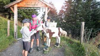 Les enfants tamponnent sur le sentier Heidi de Pizol