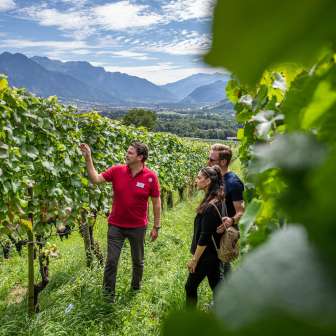 Visite des vignobles © Wine Tours Switzerland