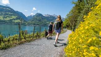 2025, arbres, montagnes, bleu, fleurs, amies, printemps, plans d'eau, vert, chien, laisse, Quinten, lac, forêt, lac de Walenstadt, randonnée, eau, chemin, nuages