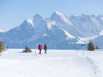 Montagnes