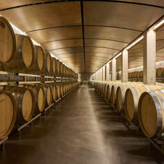 Cave à vin du domaine Davaz © Domaine Davaz