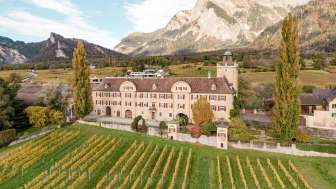 Domaine viticole Schloss Salenegg