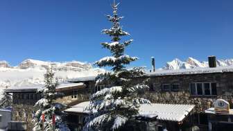 Hôtel-restaurant-maison de vacances ALTE SEKTION