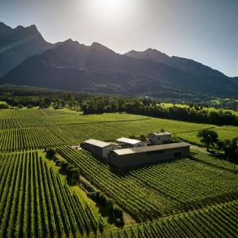Domaine viticole Davaz © Domaine viticole Davaz