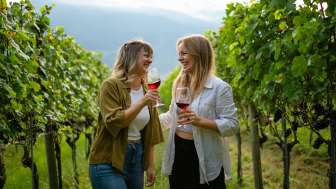 Dégustation de vin dans les vignes © Tourisme Heidiland