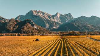 Fläsch, couleurs d'automne, Falknis, vignes, Bündner Herrschaft