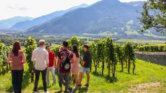 Expériences à réserver Tour du vin