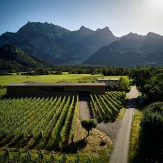Davaz Winery © Domaine viticole Davaz