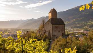 Vignoble_Sargans vignoble, Sargans, vin, château de Sargans, vin saint-gallois, raisins, Gonzen