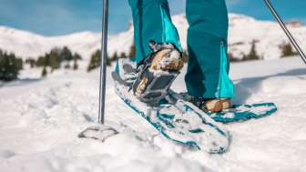 neige, raquette à neige