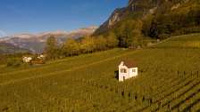 Heiligkreuz, Mels, vignes, vin saint-gallois, vignoble