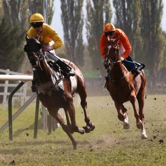 Course hippique 3