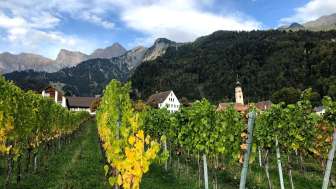 Jürg Obrecht Vins Jenins